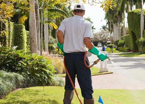 About Opelika AL Pest Control